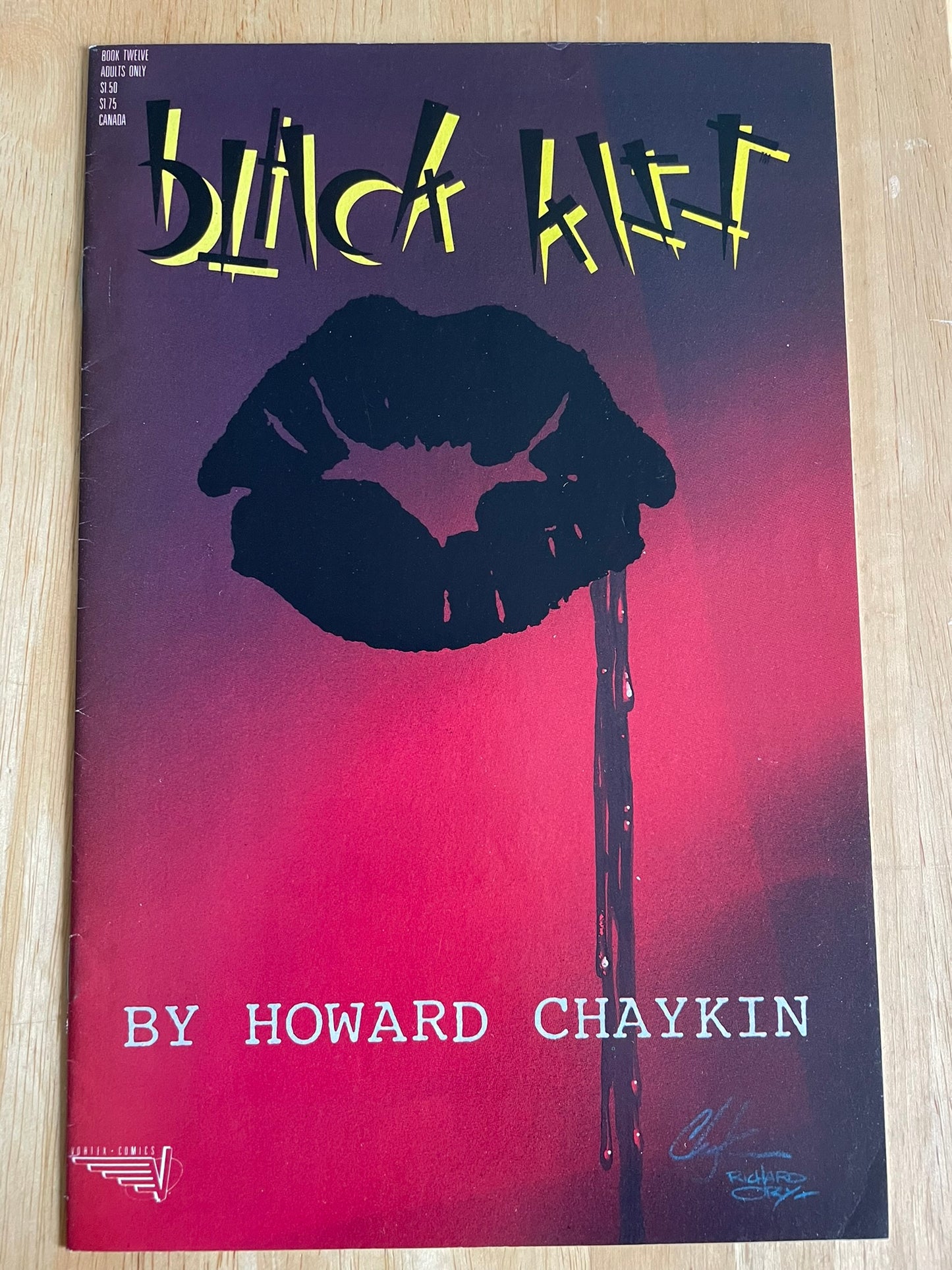 BLACK KISS #12 Howard Chaykin art! VF/+ *WHITE PAGES*