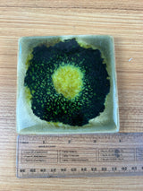 Motawi Tileworks Art Pottery Green With Black Circle Abstract Factory Glaze Test Tile 6X6