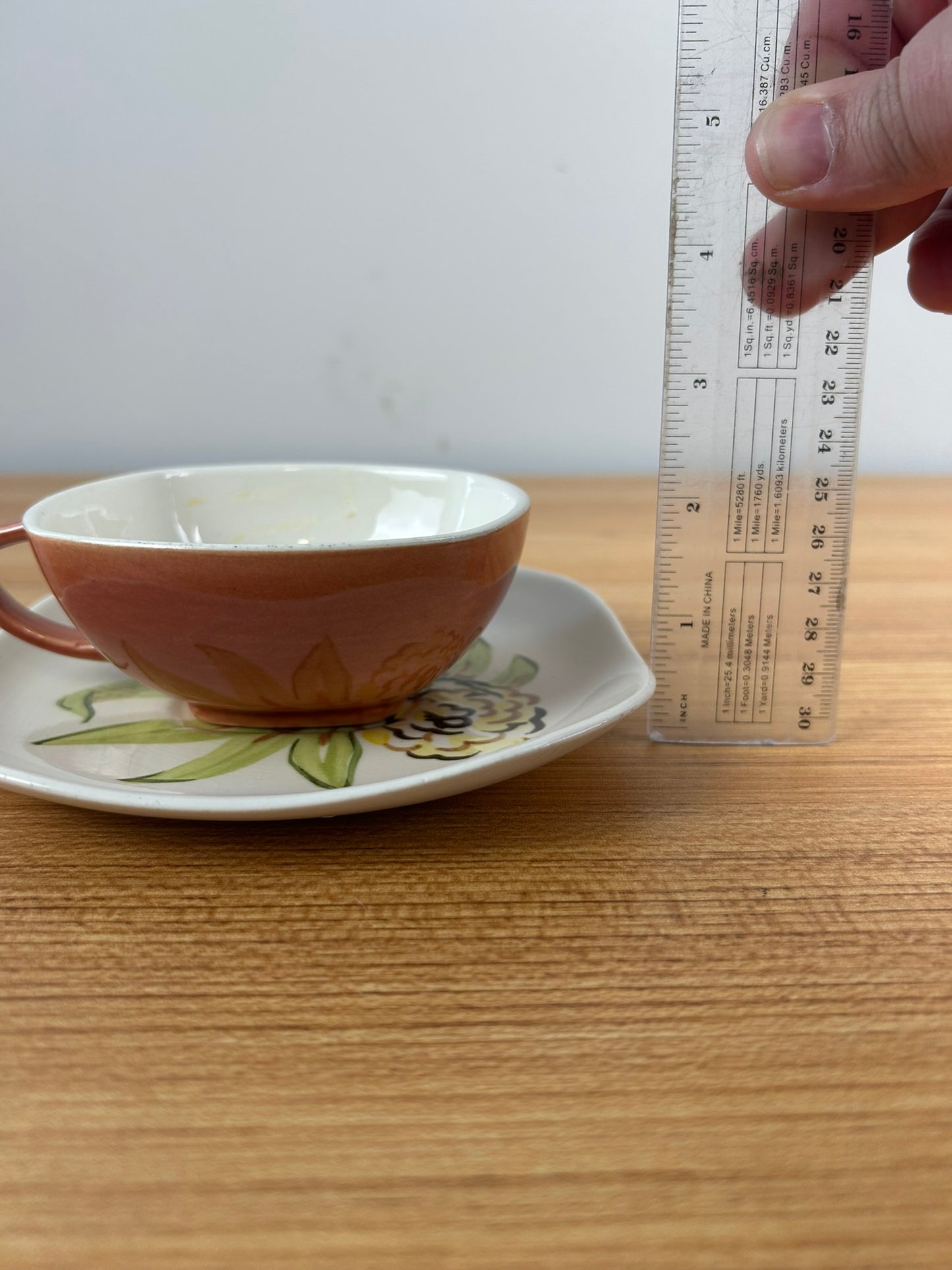RED WING Art Pottery China 1947 ZINNIA Hand Painted Cup & Saucer