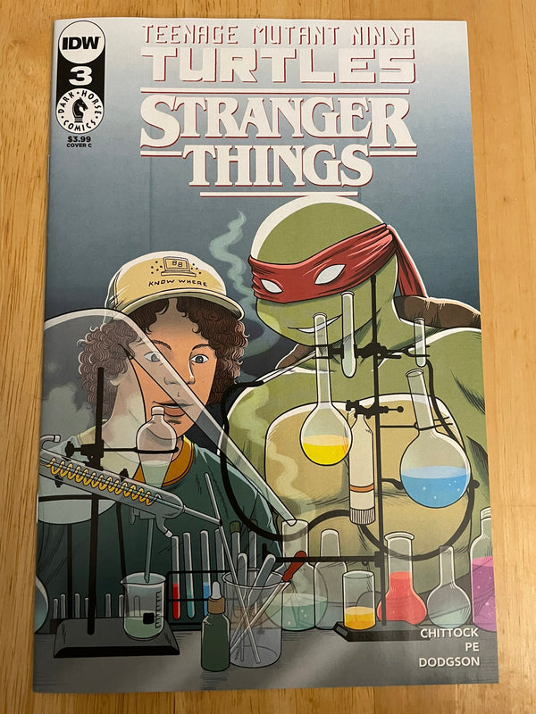 Teenage Mutant Ninja Turtles Stranger Things #3 C Cvr IDW 2023 VF/NM Comics