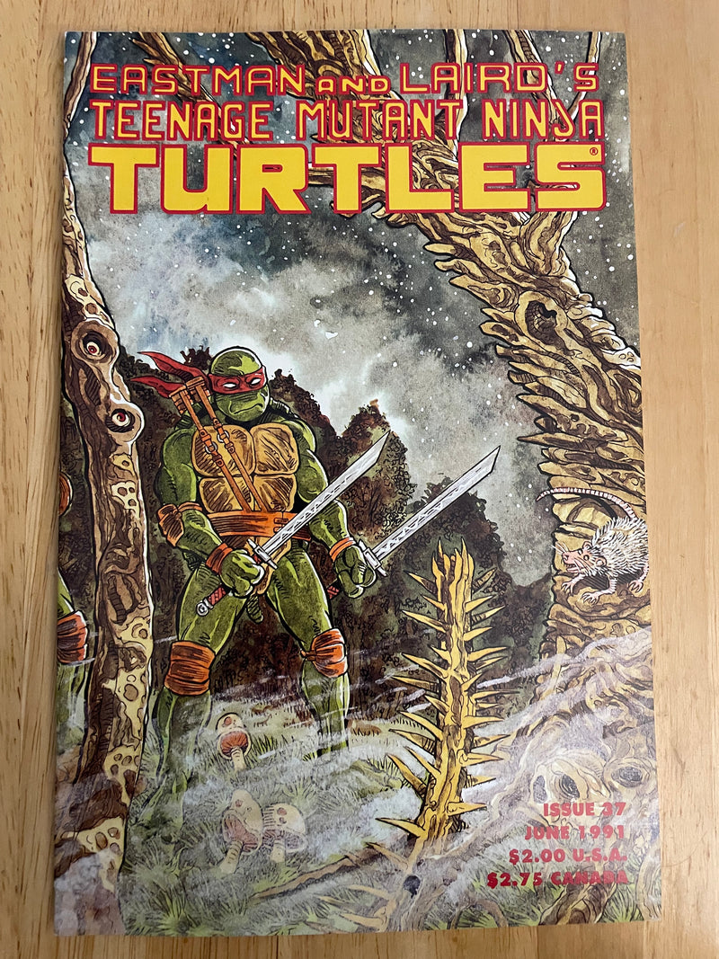 Teenage Mutant Ninja Turtles #37 (Mirage Studios June 1991) Vol 1