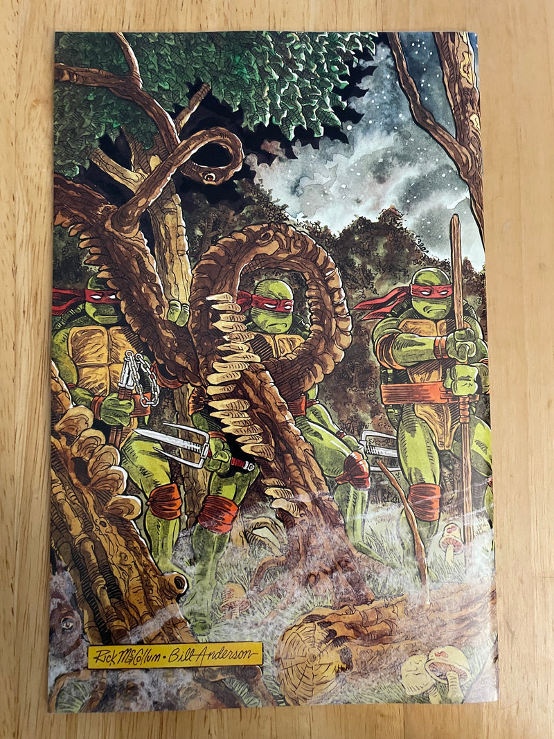 Teenage Mutant Ninja Turtles #37 (Mirage Studios June 1991) Vol 1