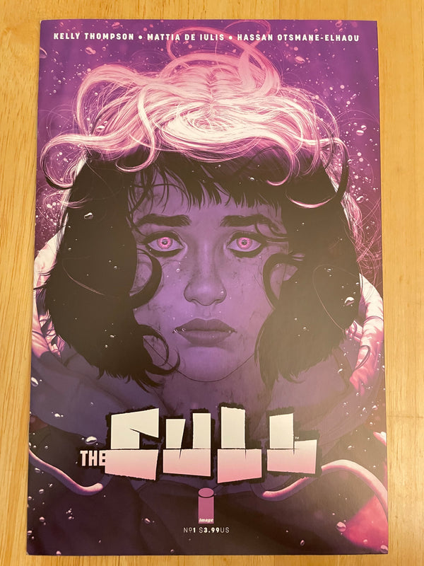 The Cull #1 - Regular Cover - Image Comics 2023